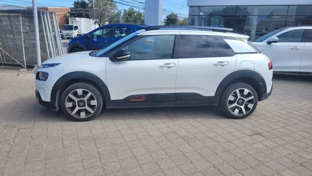 NEW CACTUS 1.2 AUT. - view 2