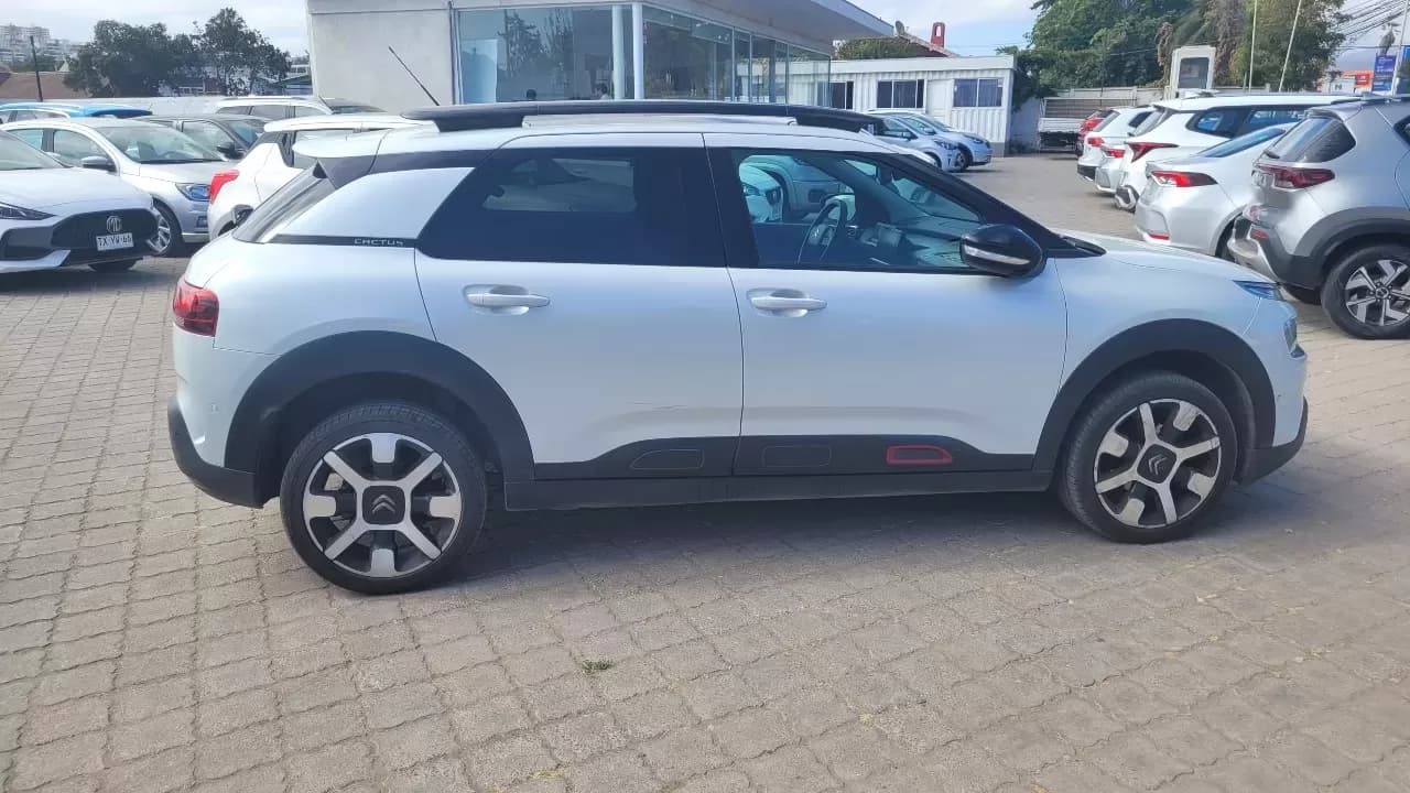 NEW CACTUS 1.2 AUT. - view 6